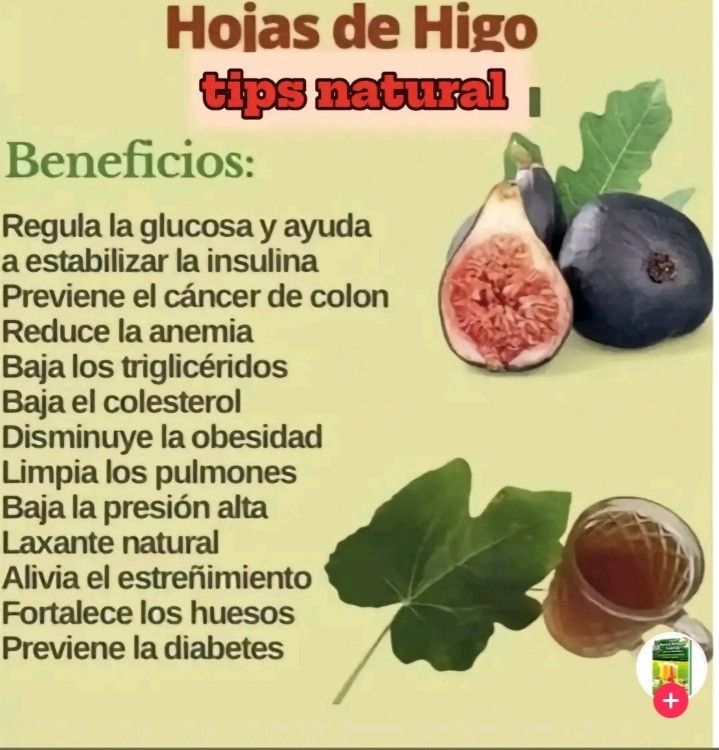 Para Que Sirve El Té De Hoja De Higo Con Canela