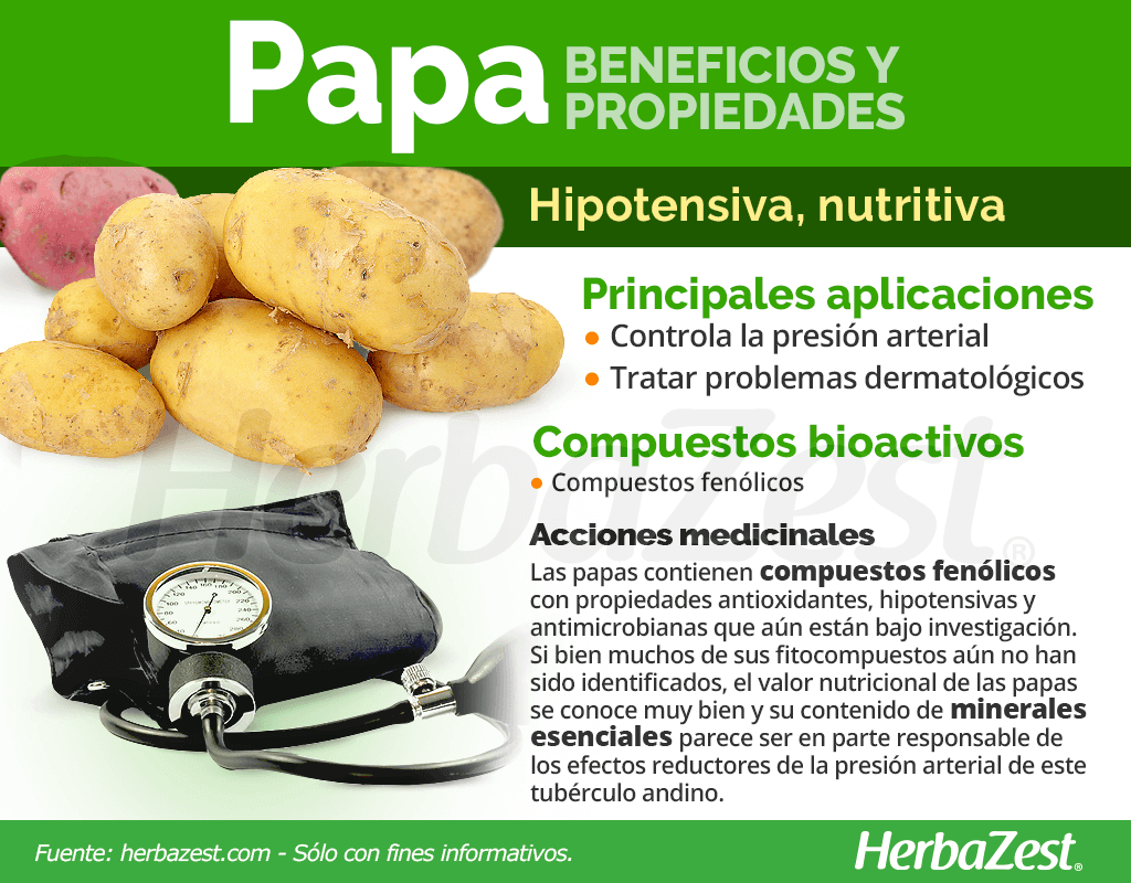 Propiedades De La Papa