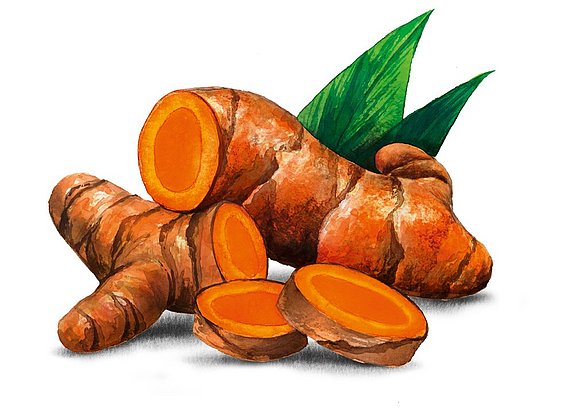 Que Es Cúrcuma En English