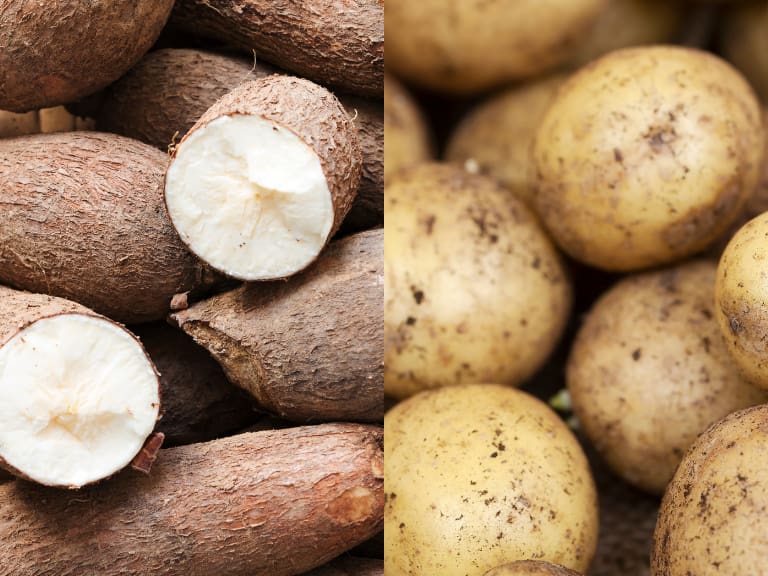 Qué Es Un Papamicuc