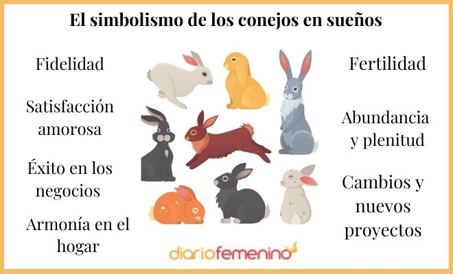 Que Significa Soñar Con Conejos Grandes
