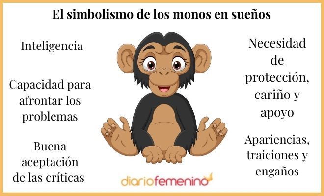Que Significa Soñar Con Monos Según La Biblia