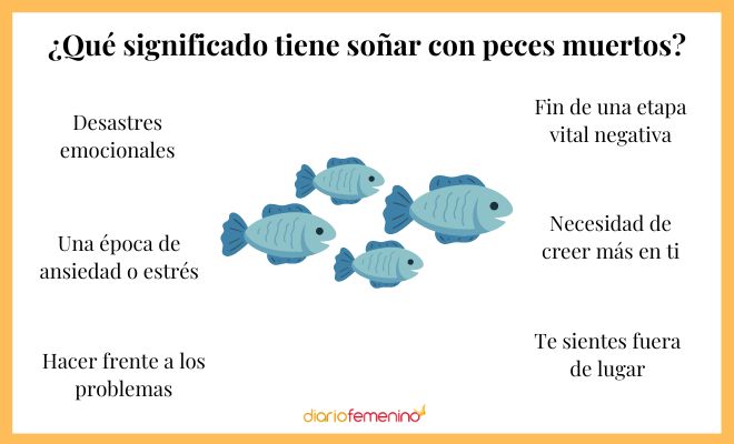 Qué Significa Soñar Con Peces Muertos