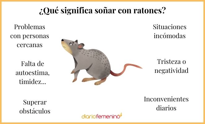 Qué Significa Soñar Con Ratones Muertos