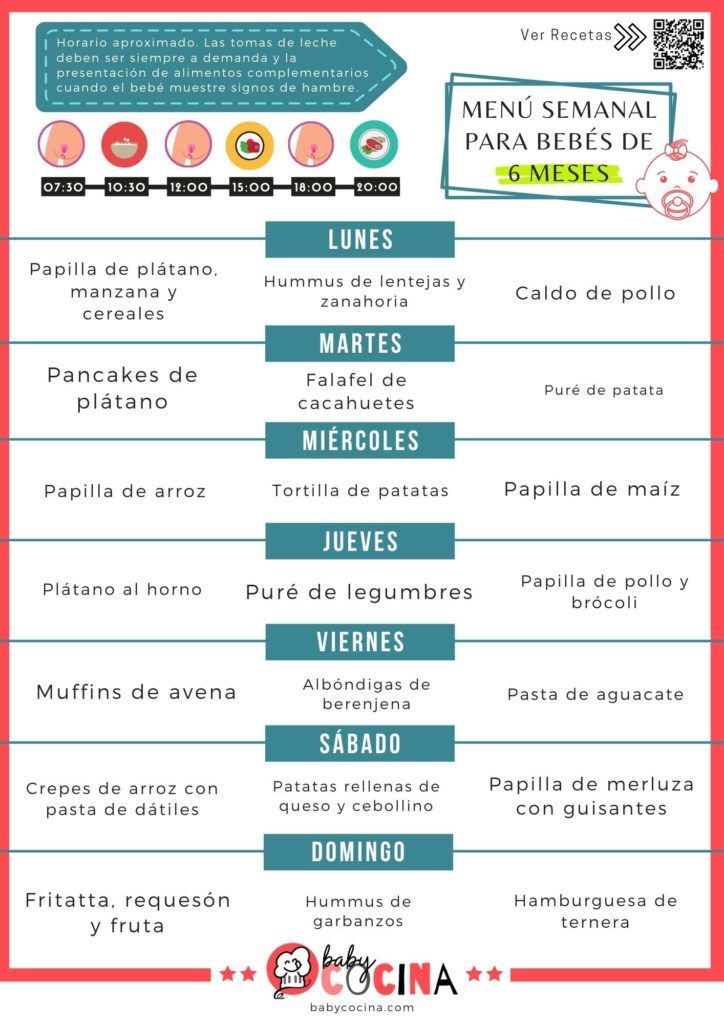 Recetas Para Bebés De 6 Meses Pdf