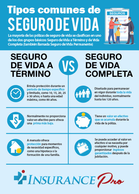 Seguro De Vida In English