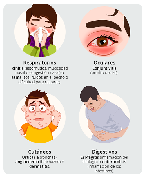 Tipos De Alergias Respiratorias