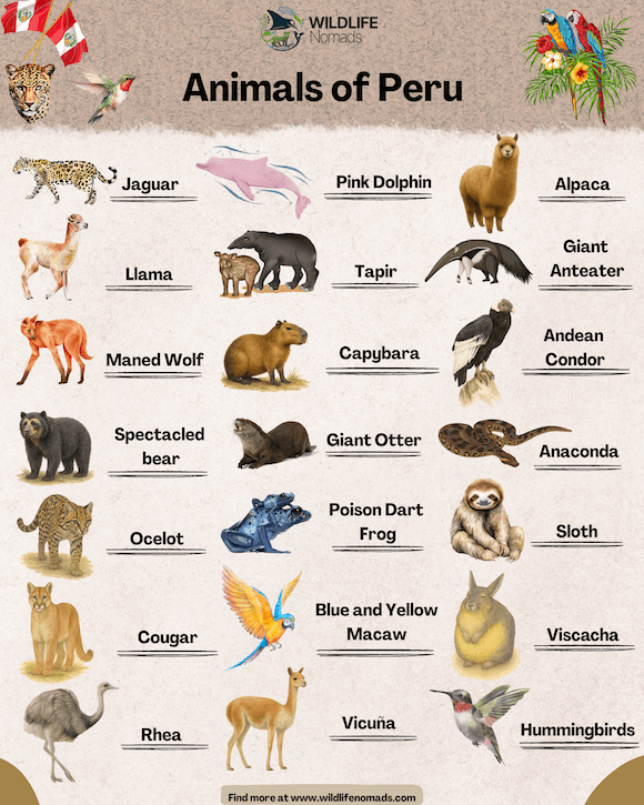 Top 10 Animals In Peru
