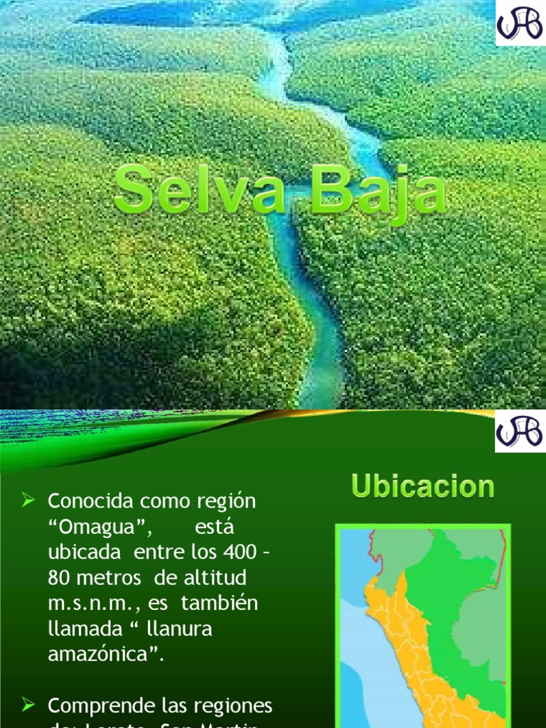 Ubicacion De La Selva Baja