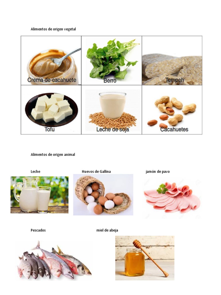 5 Alimentos De Origen Vegetal