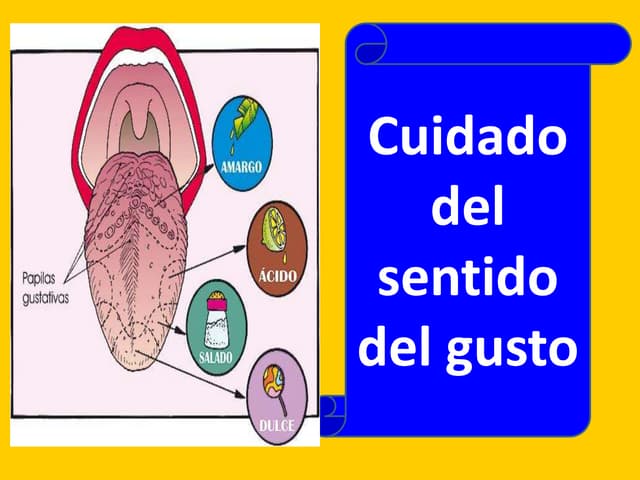 5 Cuidados Del Sentido Del Gusto