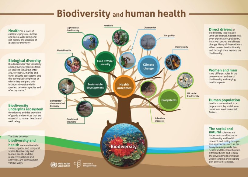 Biodiversidad Y Salud PDF