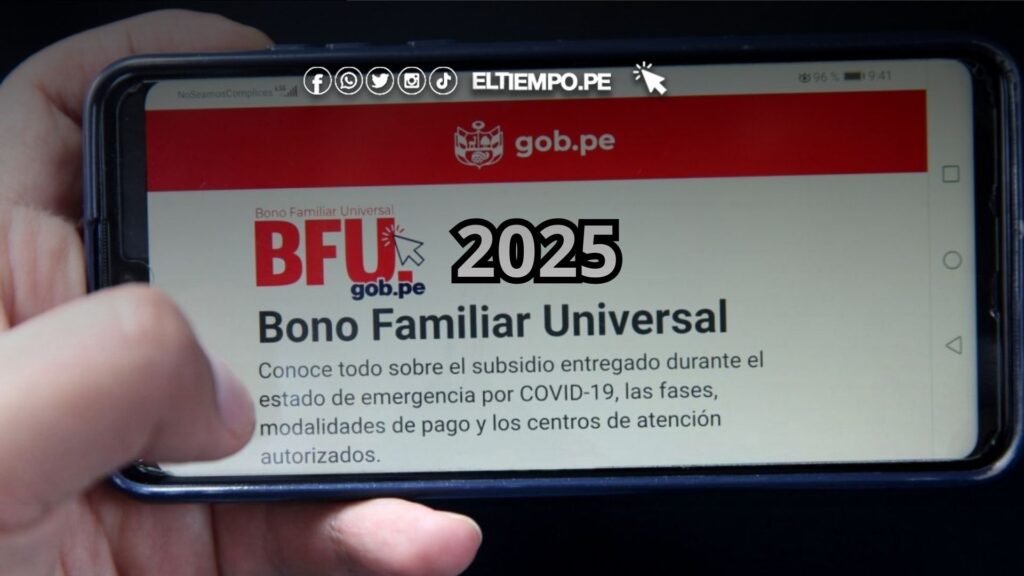 Bono Gob Pe Consulta 2025