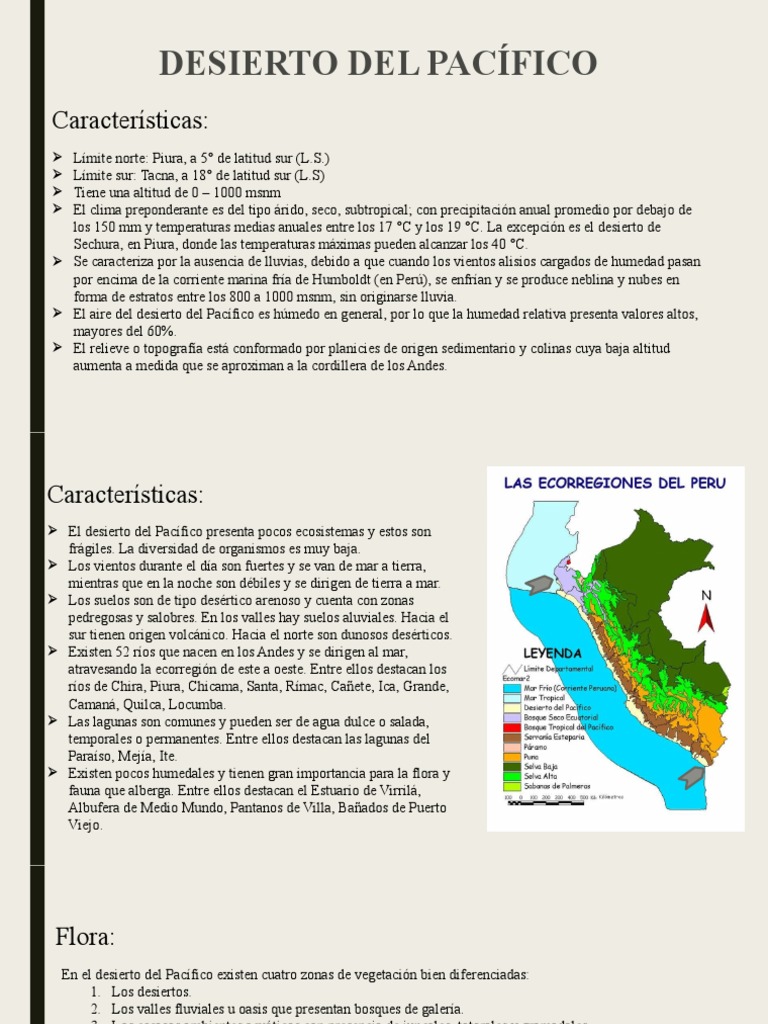 Características Del Desierto Del Pacífico
