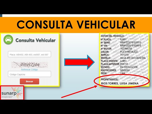 Consultar Dueño De Vehículo Por Placa