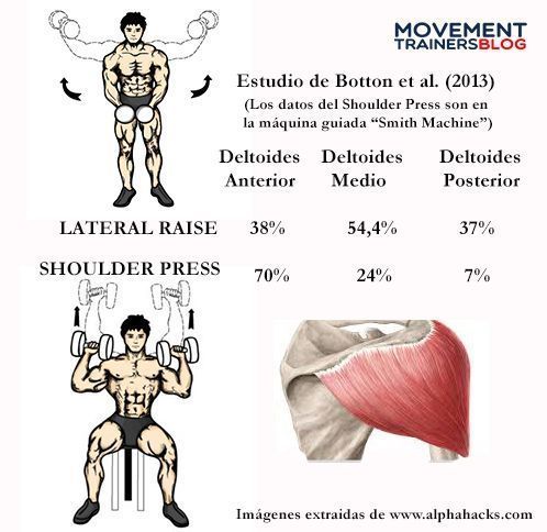 Ejercicios Para Deltoides Anterior
