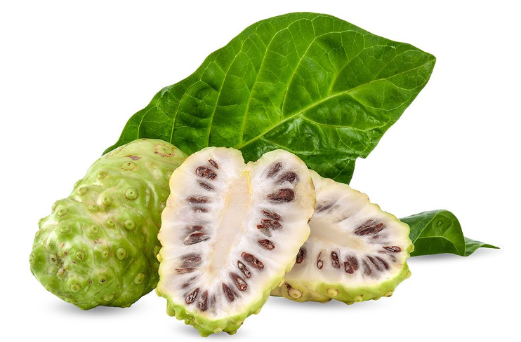 El Noni Sirve Para Los Riñones