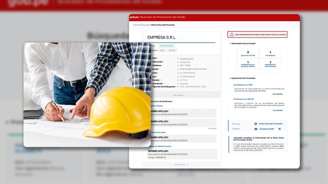 Ficha Única Del Proveedor Consulta