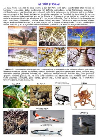 Flora Y Fauna De La Costa Peruana Wikipedia