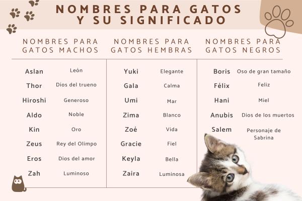 Nombres Para Gatos Unisex
