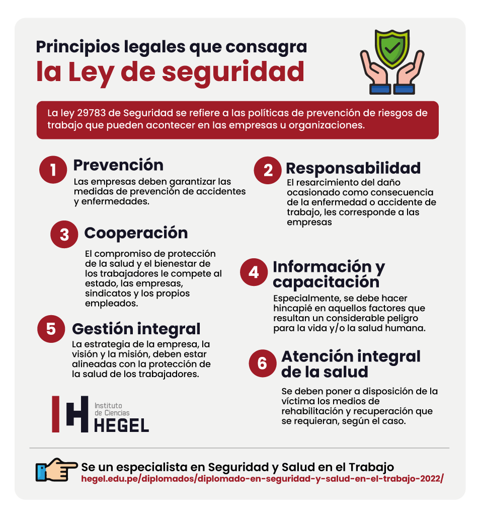 Principio De Protección Ley 29783