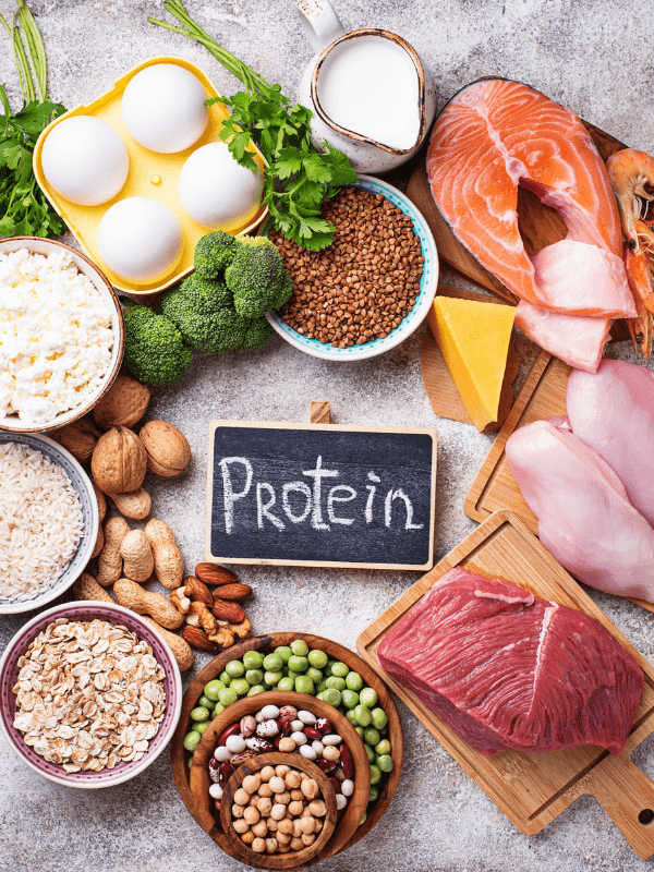 Que Es La Proteína