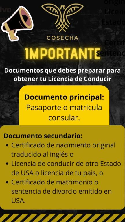 Requisitos Licencia De Conducir