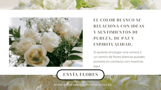 Rosa Blanca Significado Muerte