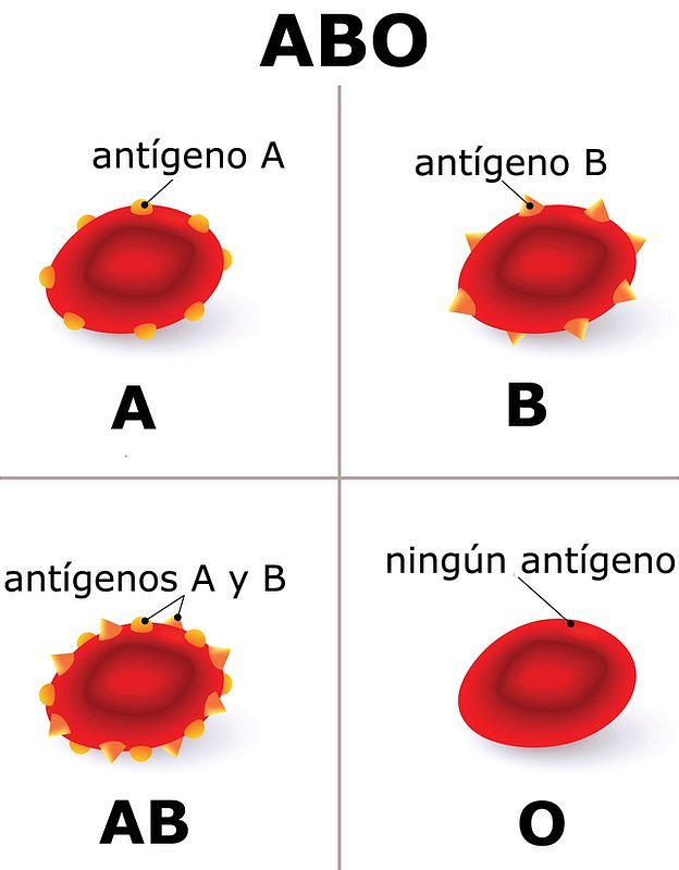 Sangre O