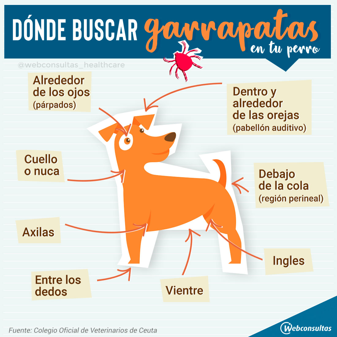 Secuelas De La Enfermedad De La Garrapata En Perros