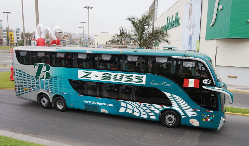 Z Buss